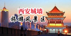 大屌肏@视频中国陕西-西安城墙旅游风景区